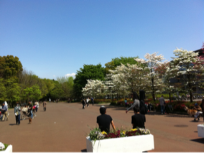 まったり日曜日