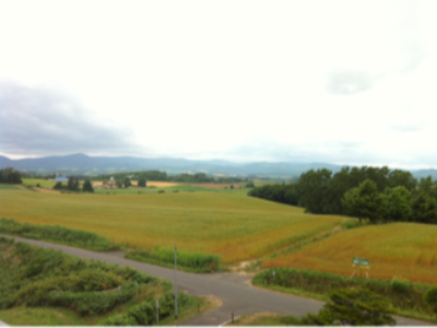 小樽〜富良野〜帯広へ