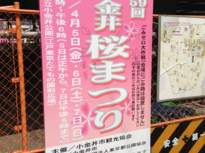 桜祭り？