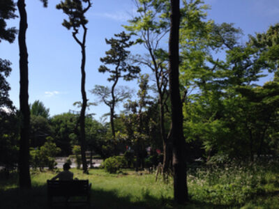 ブルースカイブルー