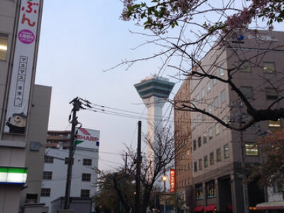 サクラ前線