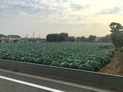 季節は流れて