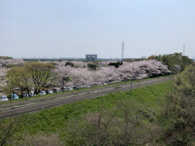 痛いの痛いの飛んでゆけ。