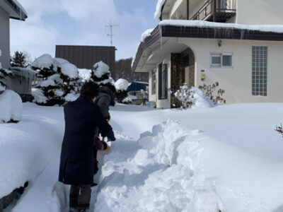 素敵なしごと。