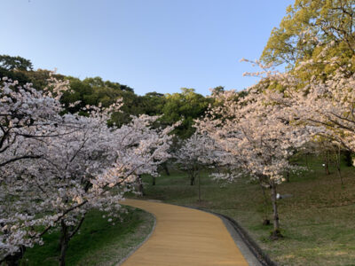 春なのに。