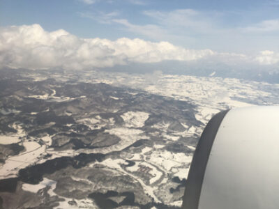 横たわる黒霧島