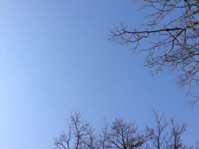 walk in the park