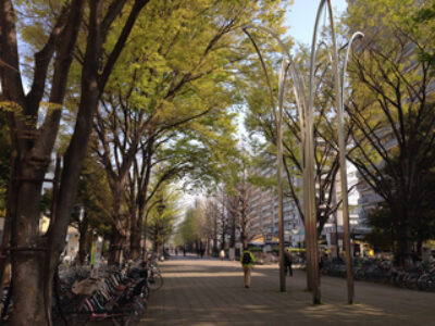 新緑の候  〜千秋楽〜