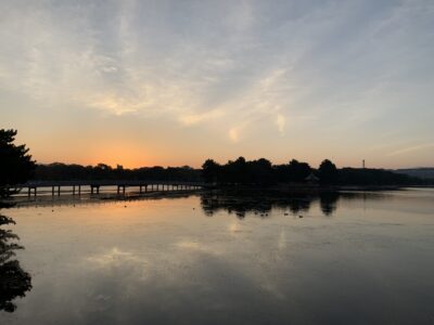 秋全開の夏日